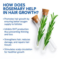 Hair Growth Serum Roll-On